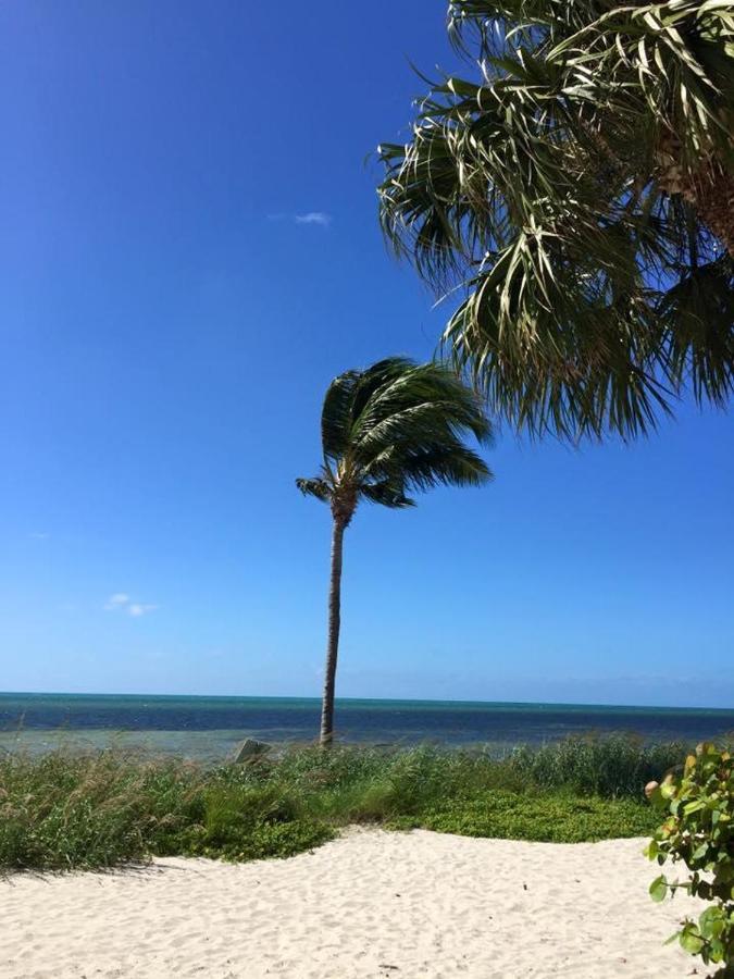 Paradise Found Cayo Hueso מראה חיצוני תמונה