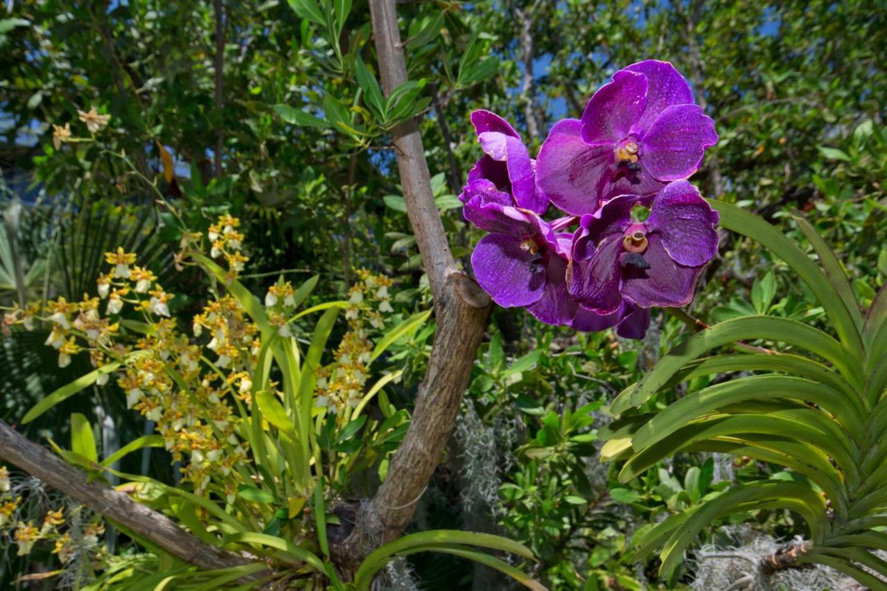 Paradise Found Cayo Hueso מראה חיצוני תמונה